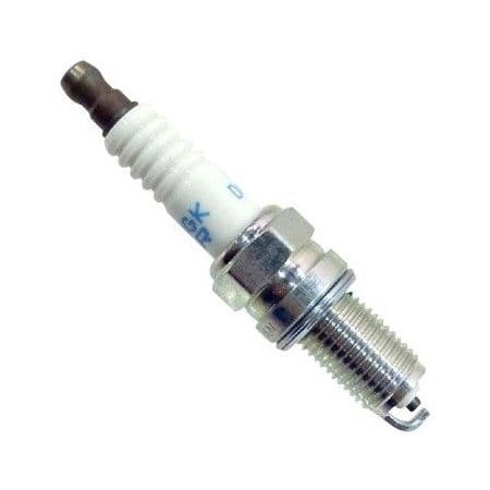 bhg-marine383066
